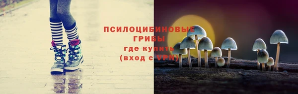 гидра Струнино