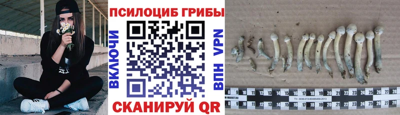 Псилоцибиновые грибы Cubensis Южно-Сахалинск